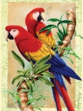 Számozott kifestő A4 formátumban - Bambusz papagájok