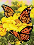 Számozott kifestő A4 formátumban - Pillangók 1