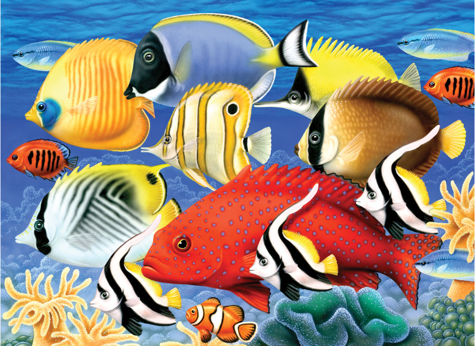 Számozott kifestő A3 formátumban - Trópusi halak