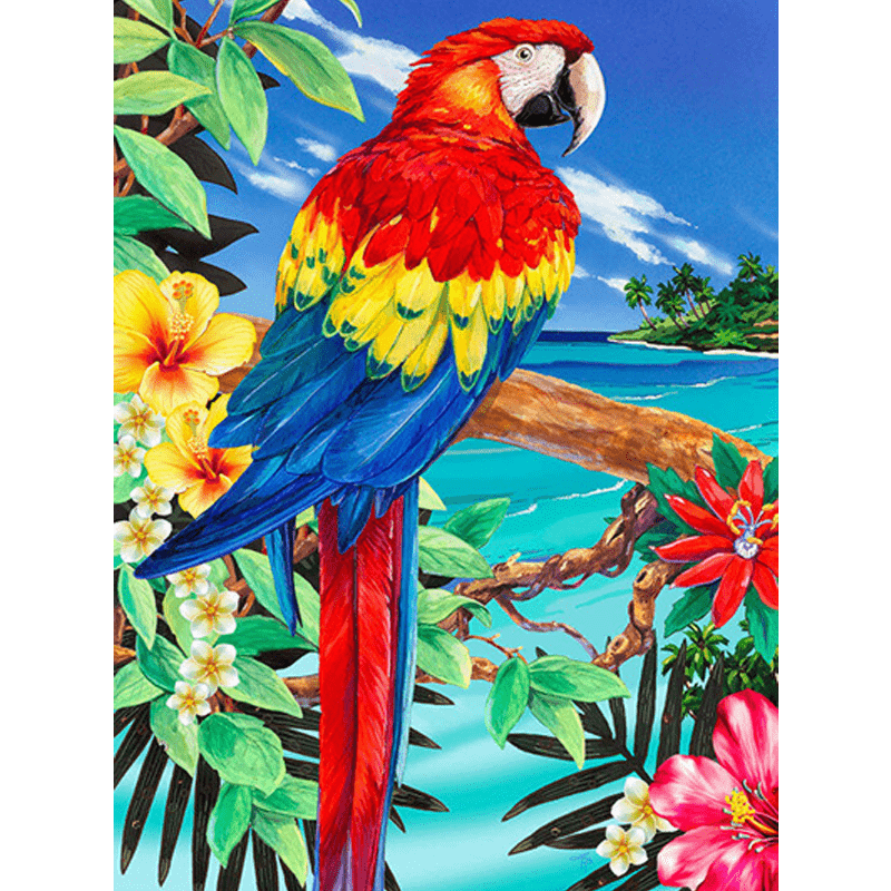 Számozott kifestő A4 formátumban - Papagáj